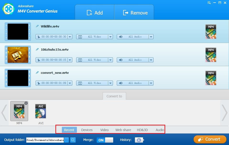 choose video output format