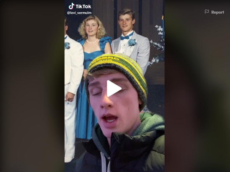 tiktok green screen user