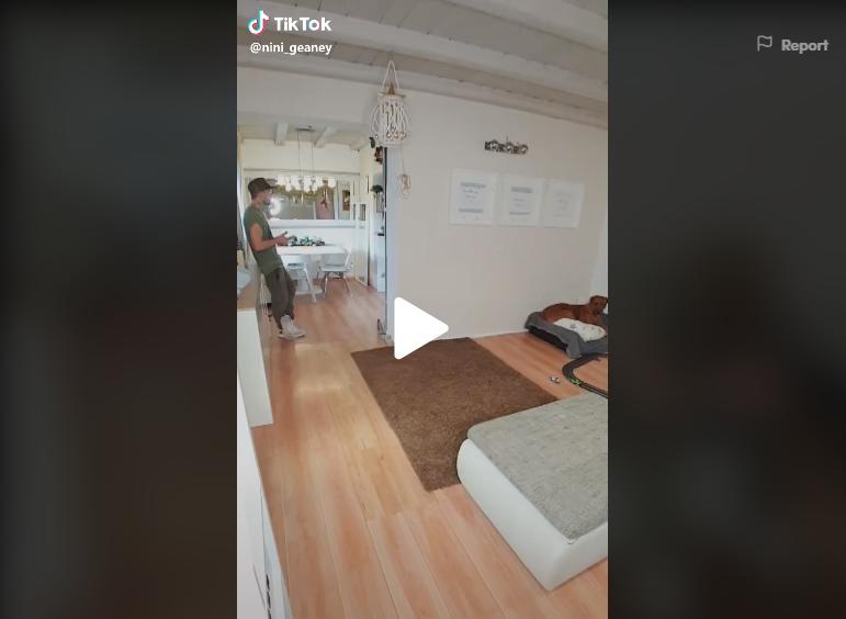 tiktok green screen user