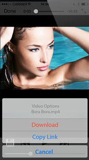 youtube video downloader iphone